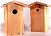 bf_houses_woodpecker.jpg